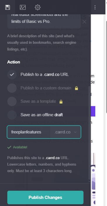Carrd Basic publishing panel showing the .carrd.co option, an available name and the locked custom-domain option.